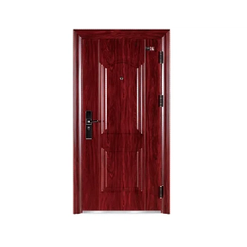 Steel Door Cửa thép
